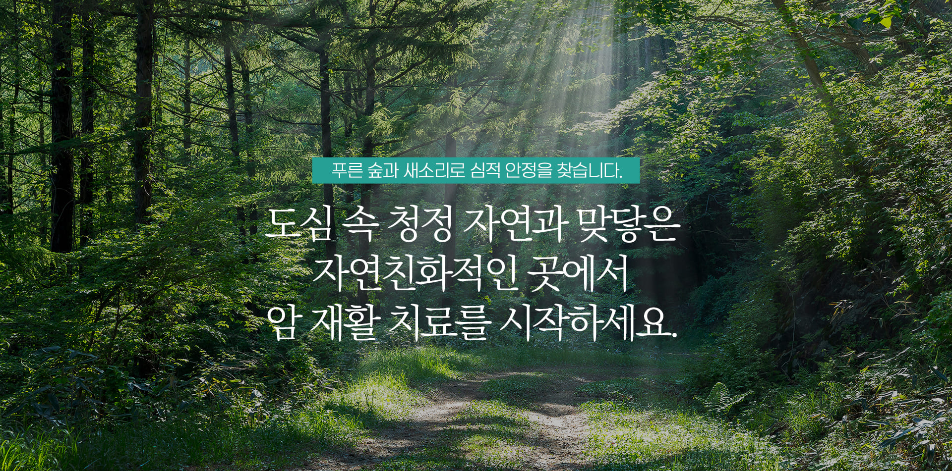 푸른 숲과 새소리로 심적 안정을 찾습니다. 도심 속 청정 자연과 맞닿은 자연친화적인 곳에서 암 재활 치료를 시작하세요.