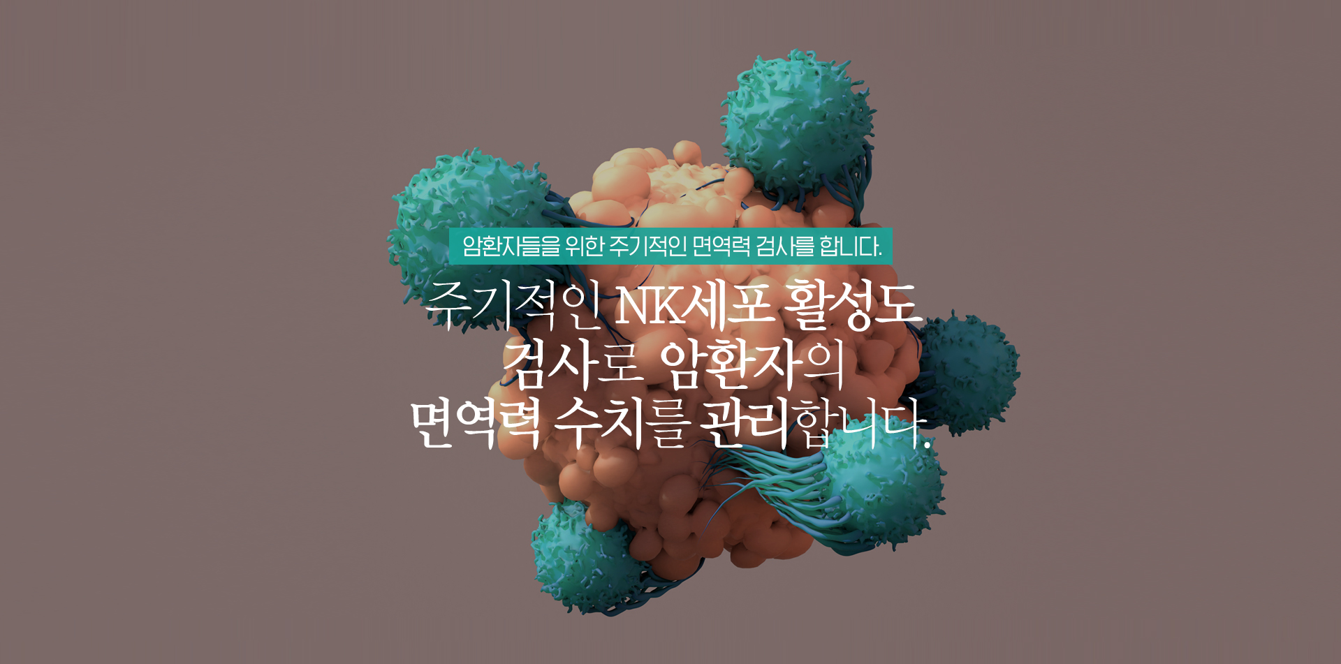 암환자들을 위한 주기적인 면역력 검사를 합니다. 주기적인 NK세포 활성도 검사로 암환자의 면역력 수치를 관리합니다.