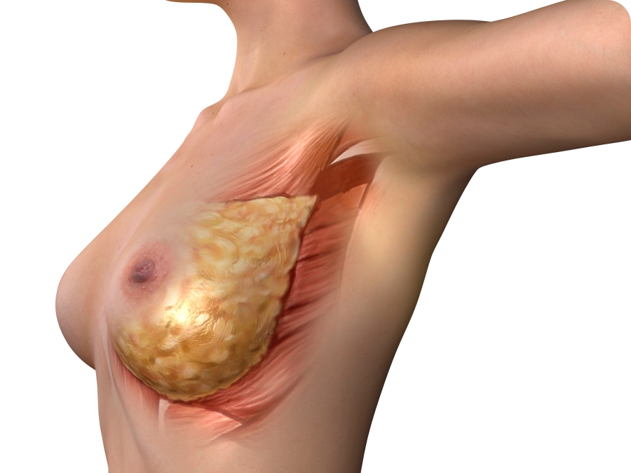 96aba81a258282020b4bebcd91747210_1766545303_831.jpg 96aba81a258282020b4bebcd91747210_1766545303_831.jpg