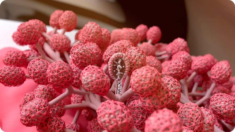 dbcf278e3107cea95da2bb88a3c5305b_1767587689_9438.jpg dbcf278e3107cea95da2bb88a3c5305b_1767587689_9438.jpg