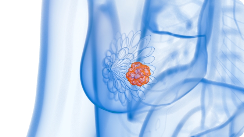 fe9becafccffd9e792a438e1b7c92040_1769742181_7993.jpg fe9becafccffd9e792a438e1b7c92040_1769742181_7993.jpg