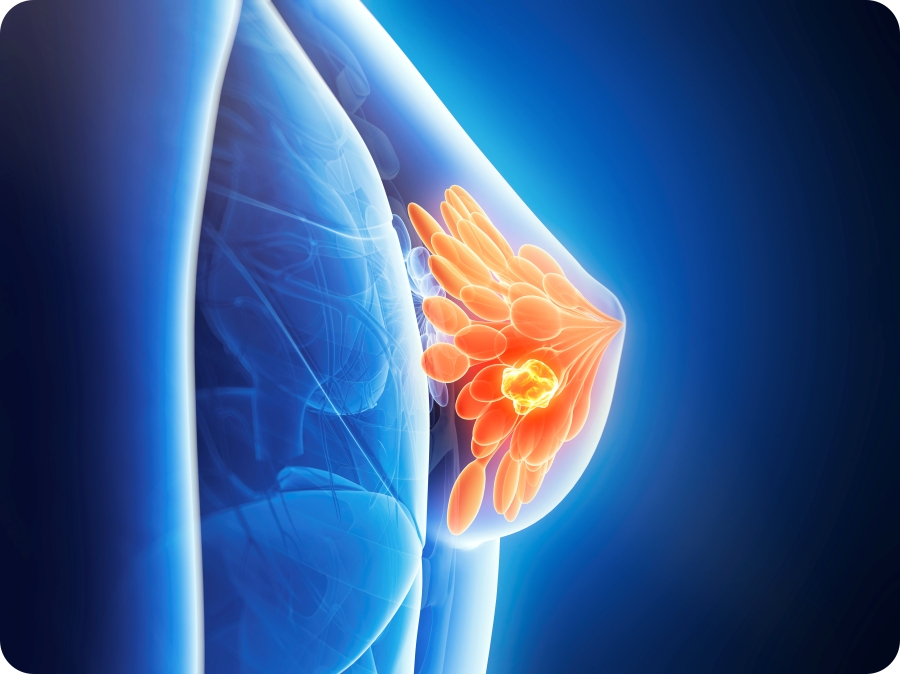 557cbf4436cf58c985c31495e35e3bca_1771553567_1836.jpg 557cbf4436cf58c985c31495e35e3bca_1771553567_1836.jpg