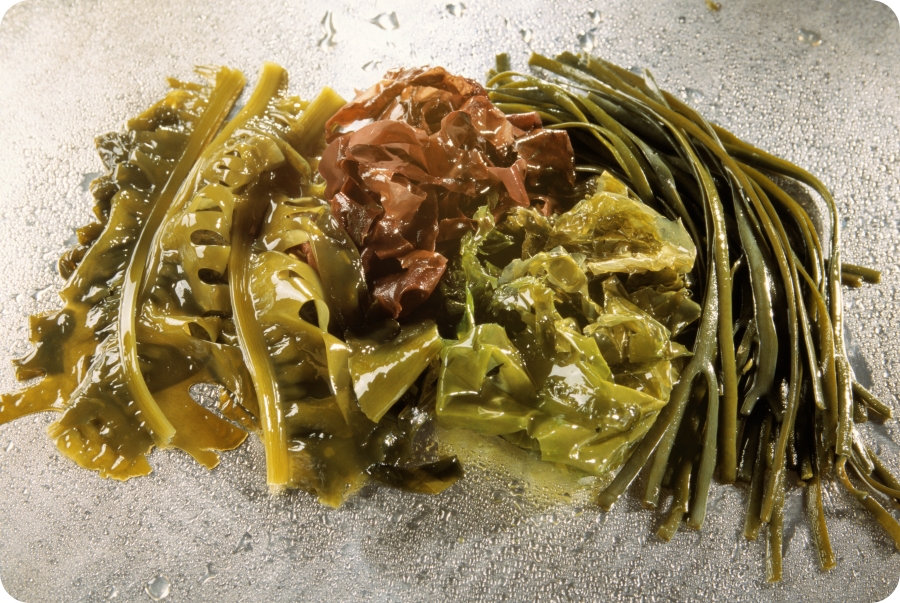 a7d435bff7eb10c6bc355bfa0bbf9d3a_1772180893_8563.jpg a7d435bff7eb10c6bc355bfa0bbf9d3a_1772180893_8563.jpg