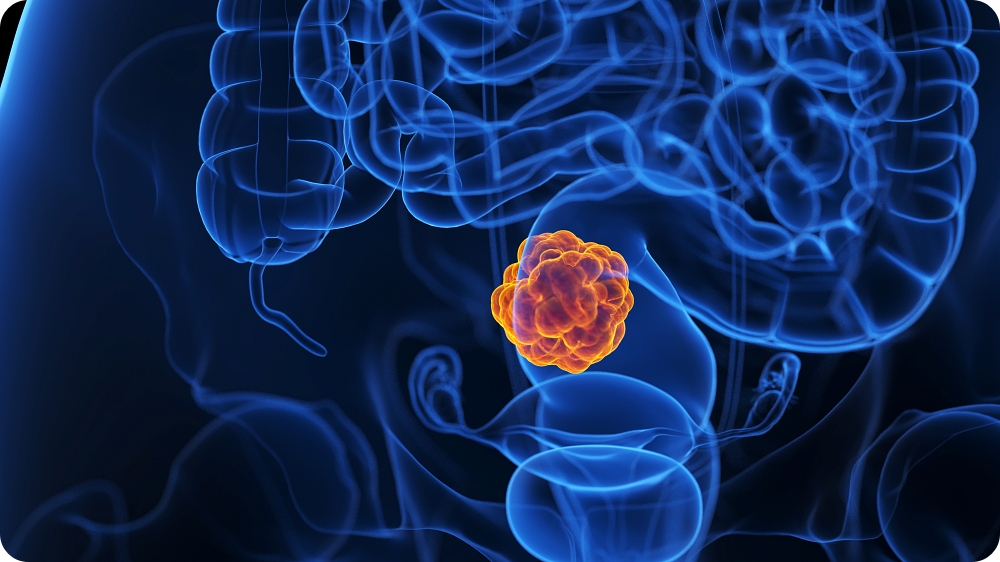 b07ae81a6c1e5b17e24ccab216287d3c_1774575975_2548.jpg b07ae81a6c1e5b17e24ccab216287d3c_1774575975_2548.jpg