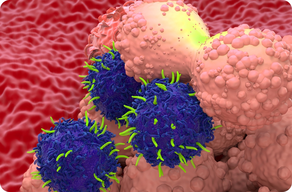 c3efcccf83b31aecd65d25433dcef6c4_1773025781_9112.jpg c3efcccf83b31aecd65d25433dcef6c4_1773025781_9112.jpg