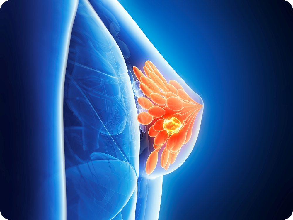 dd1c2a9fe071e20d42192ce70dff4d75_1774835843_0443.jpg dd1c2a9fe071e20d42192ce70dff4d75_1774835843_0443.jpg