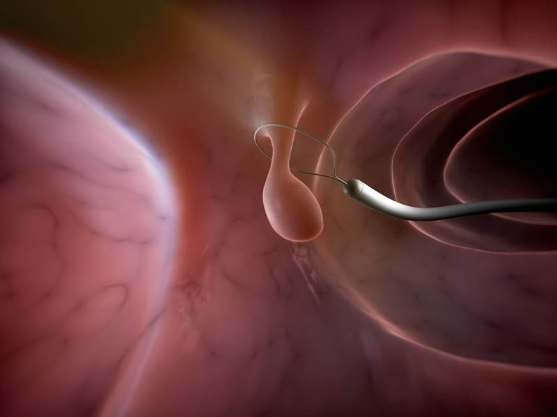 b78f6de3414be644e89157f8b1b5cd91_1775444163_8235.jpg b78f6de3414be644e89157f8b1b5cd91_1775444163_8235.jpg